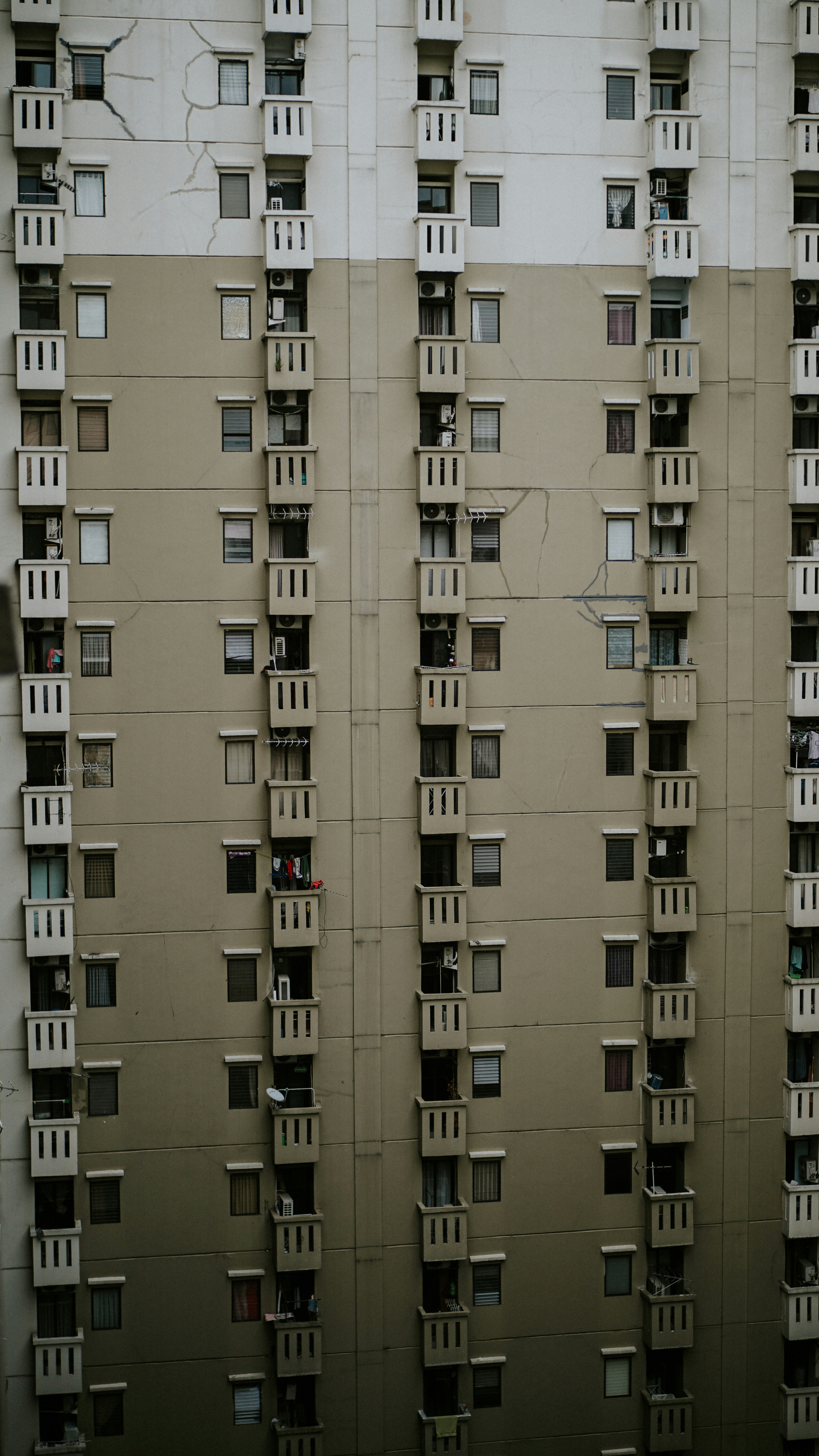 home network wallpaper, wallpaper, Bisnis NR House: Peluang dan Cara Memulainya 2