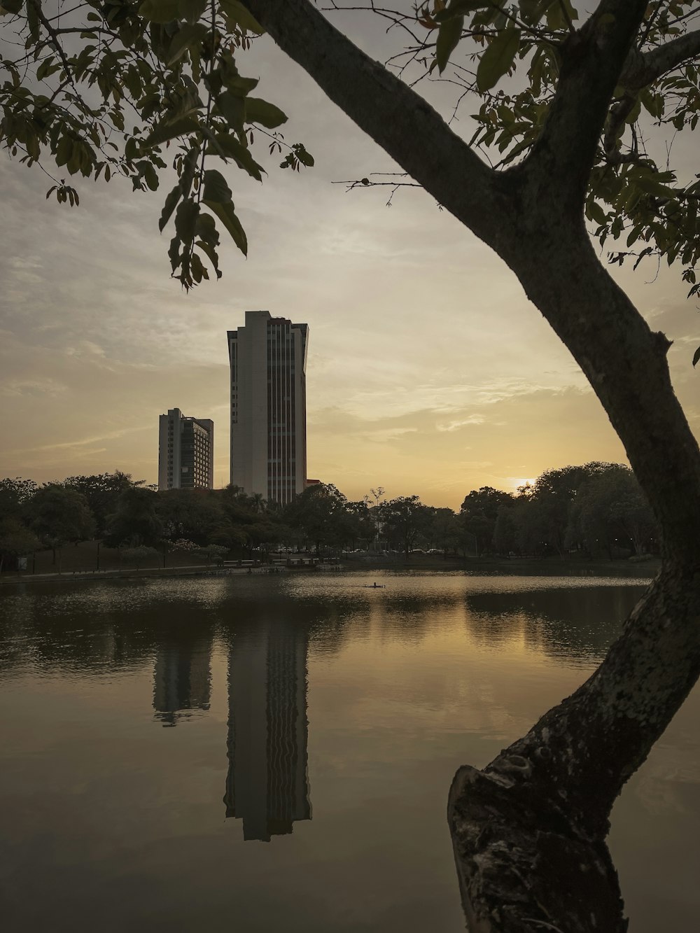 Cuerpo de agua cerca de edificios de gran altura durante el día