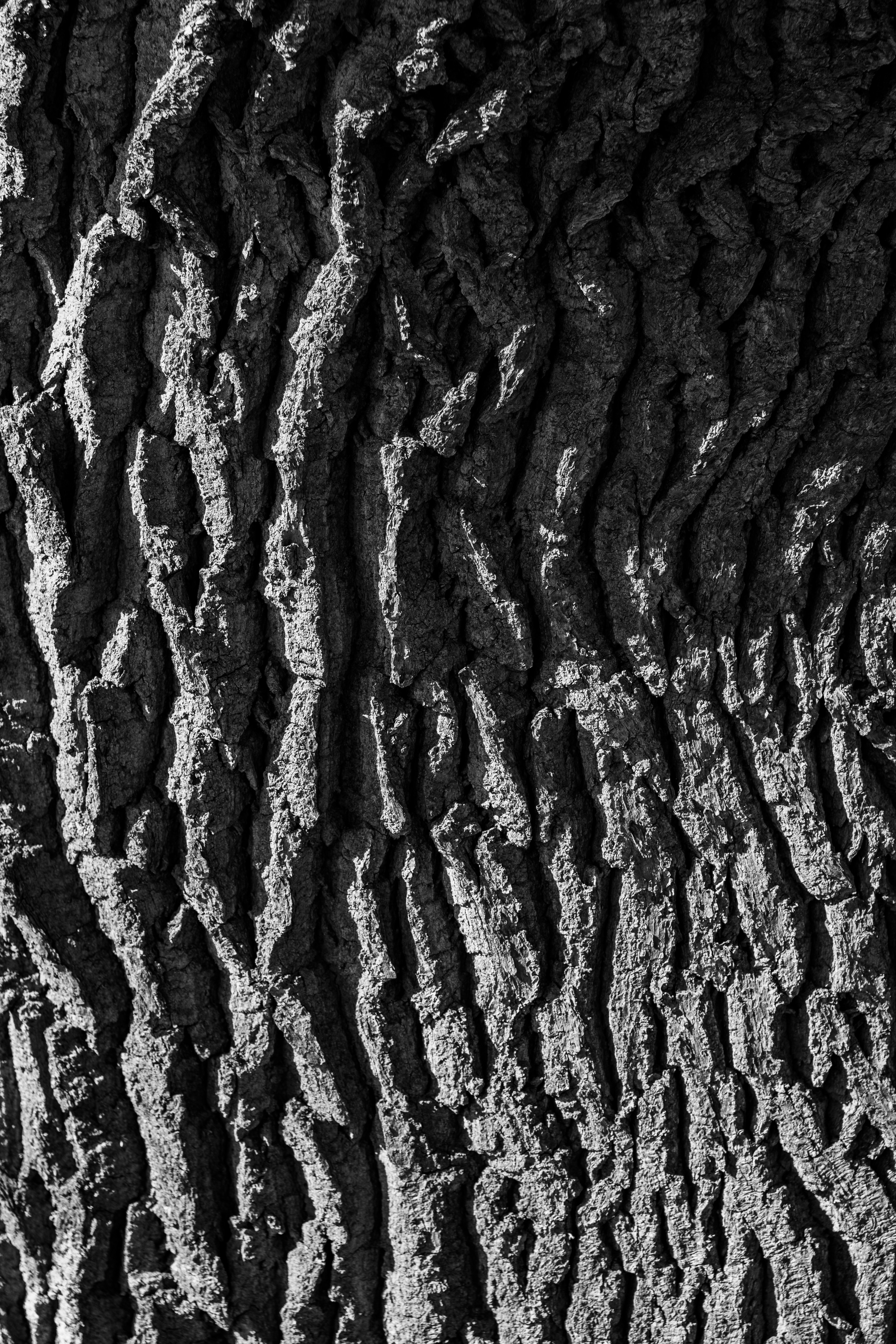 Photo by karlhornfeldt