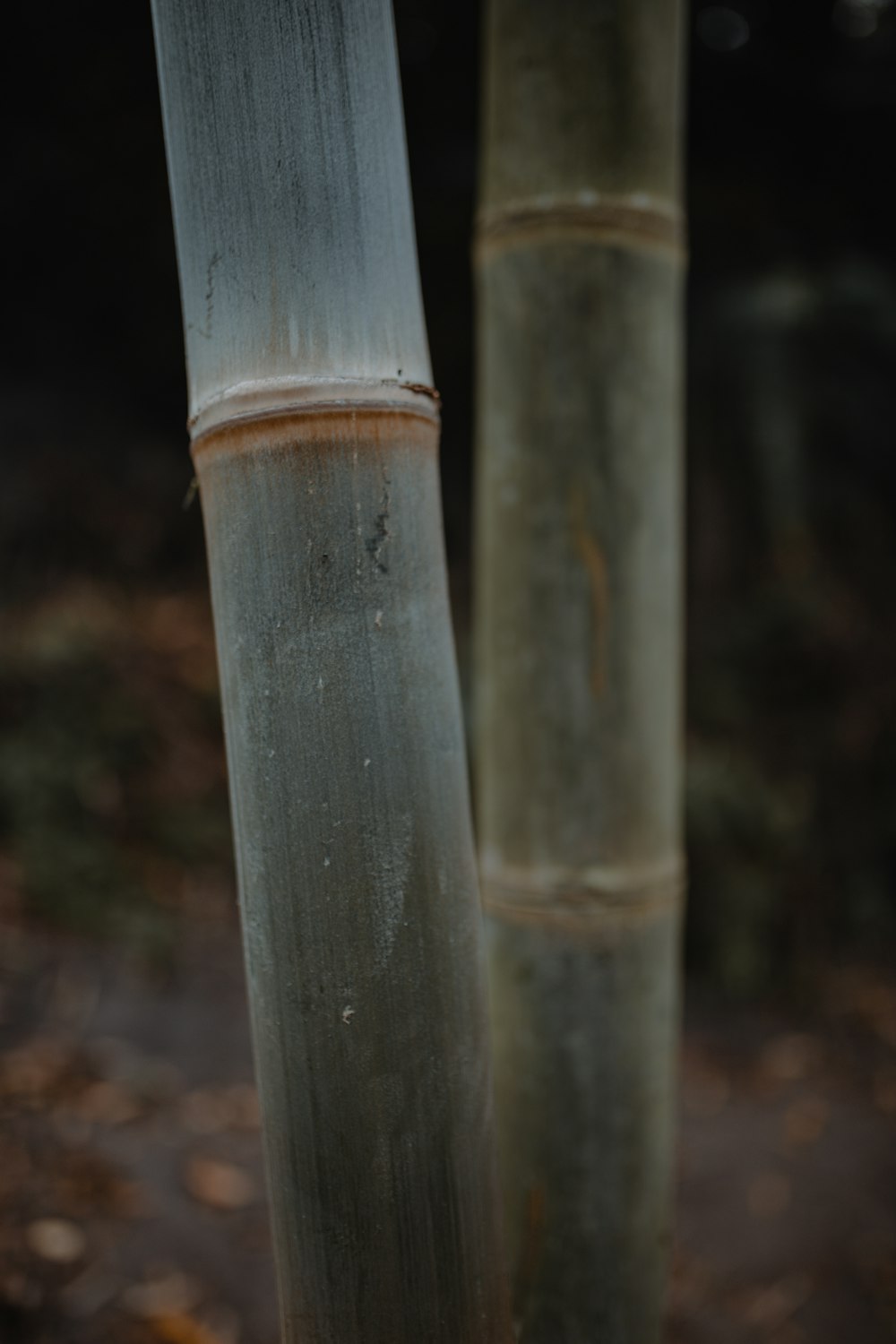 white and brown wooden stick