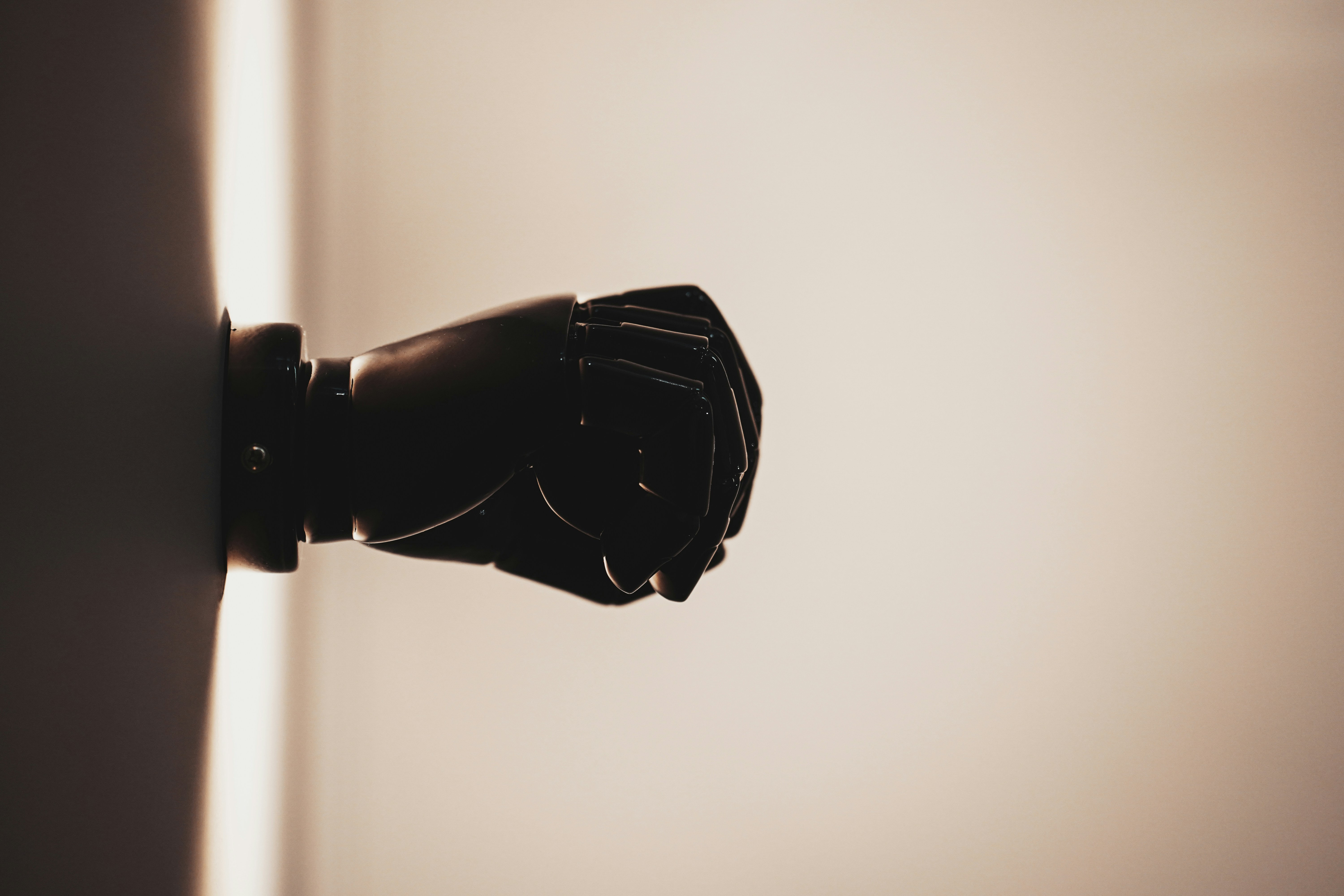 Photo by artcoastdesign