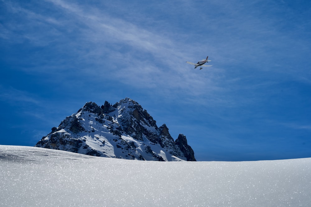 black bird flying over snow covered mountain during daytime