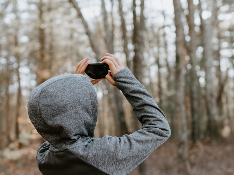 Essential when Is A Dog Too Old To Train Smartphone Apps