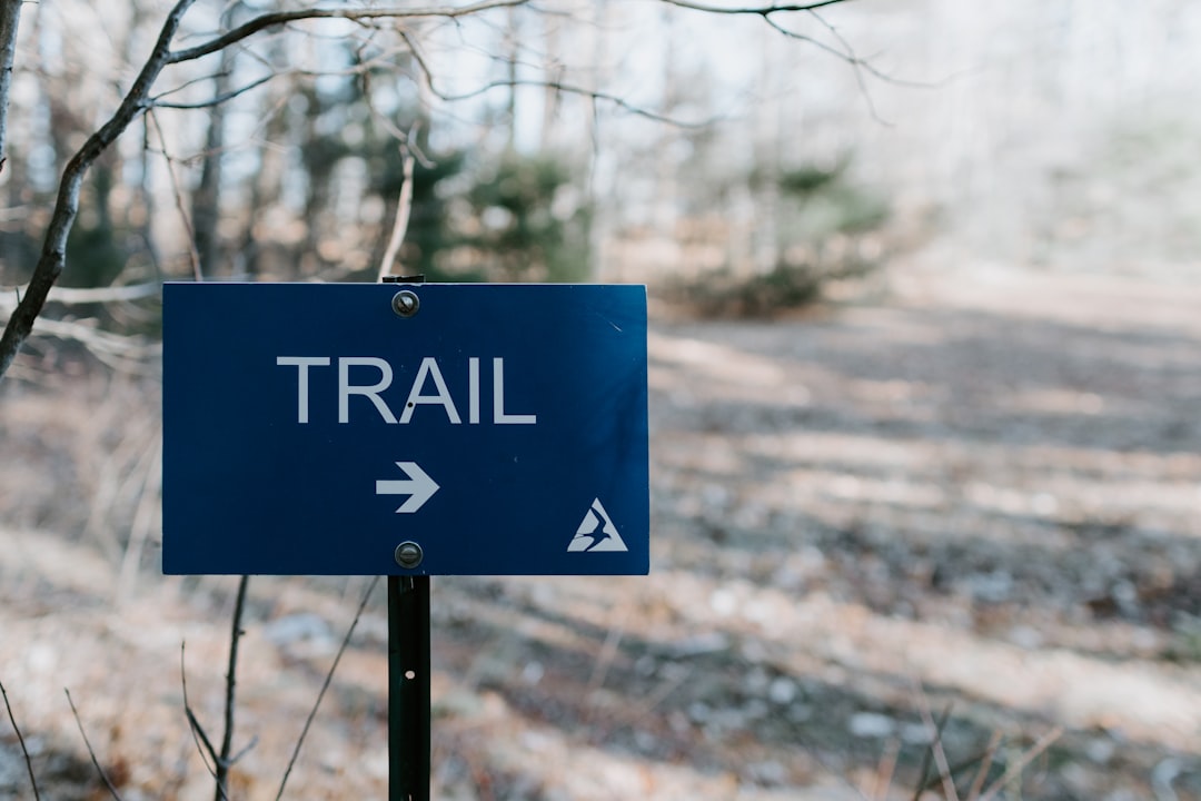 a blue sign pointing to a trail in the woods,