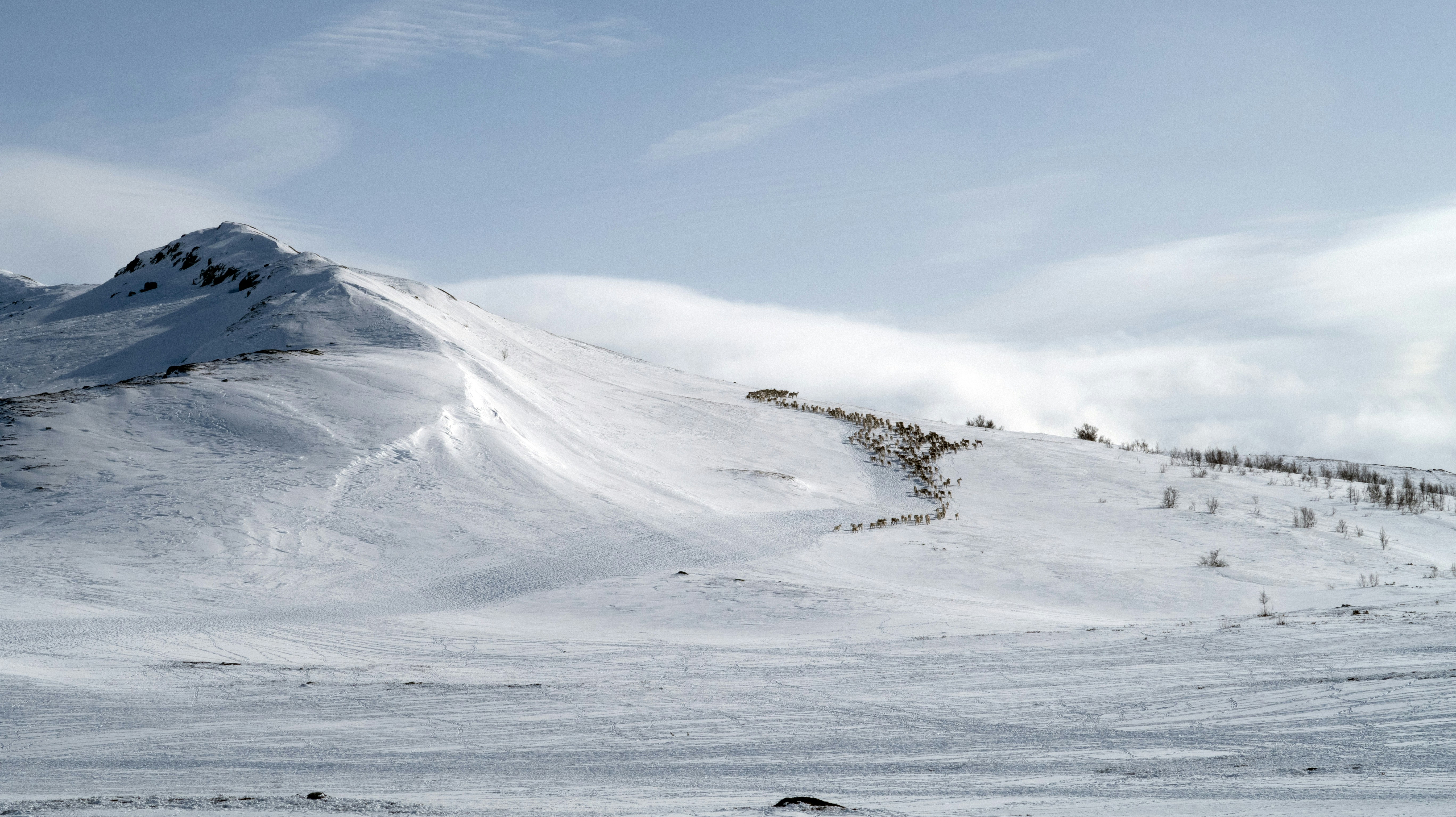 Photo by veslestoylen4