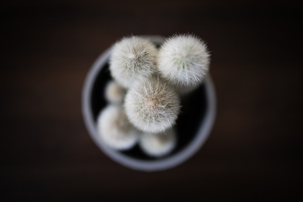 white flowers on black ceramic mug