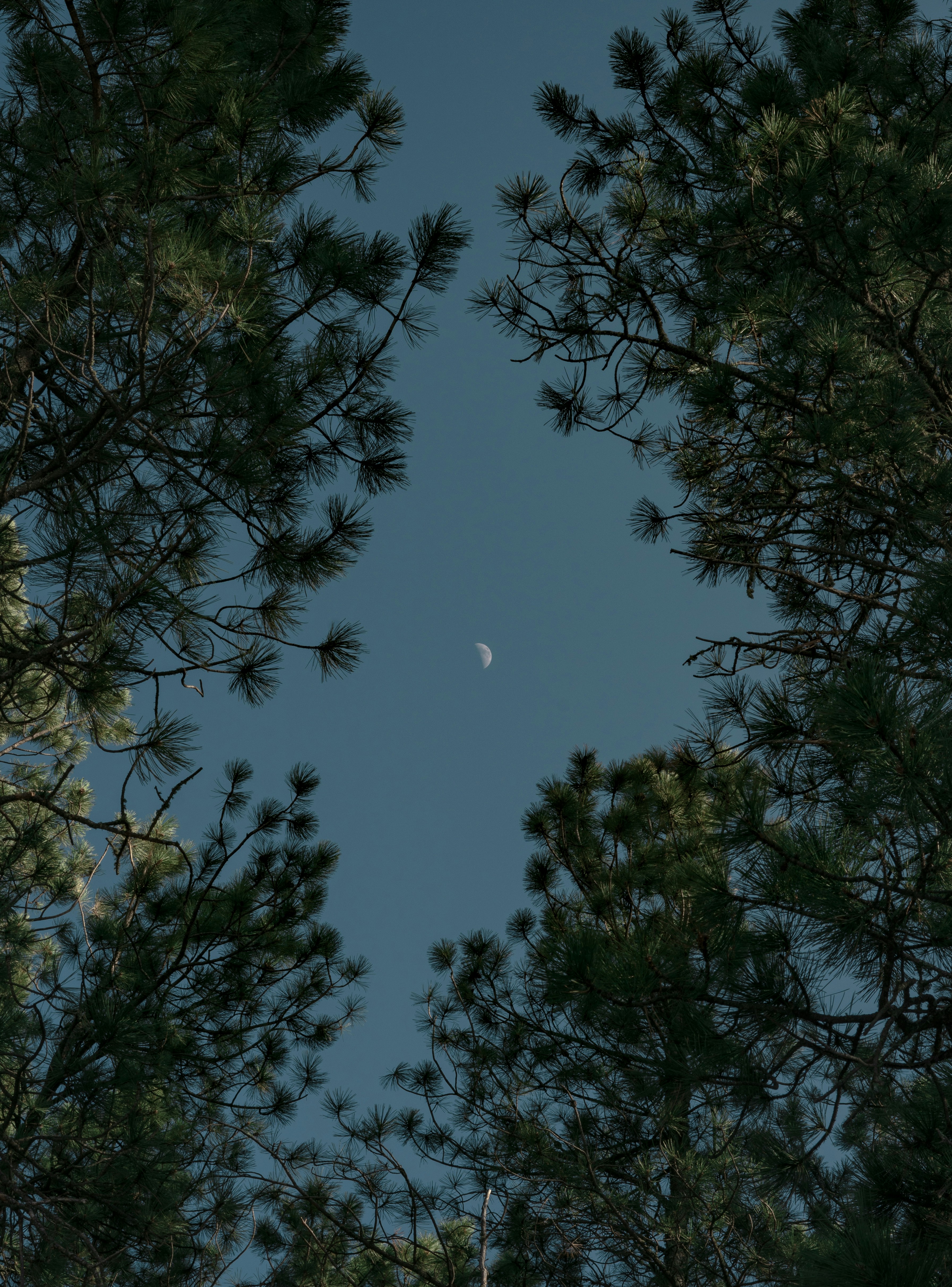 Photo by caleb_ruiter