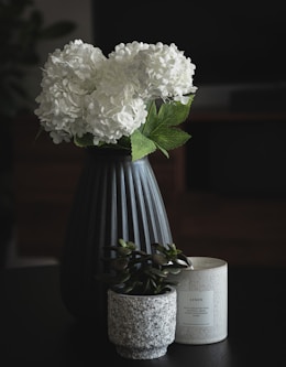 white flower in blue vase