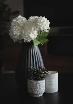white flower in blue vase