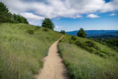 A peaceful parcel of land with a dirt path, native trees, and distant mountains in the background.