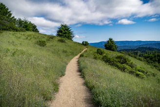 A peaceful parcel of land with a dirt path, native trees, and distant mountains in the background.