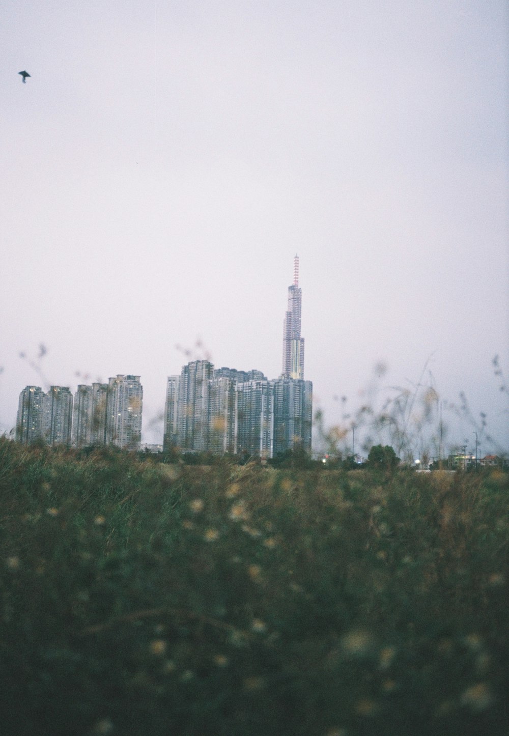 city skyline under white sky during daytime