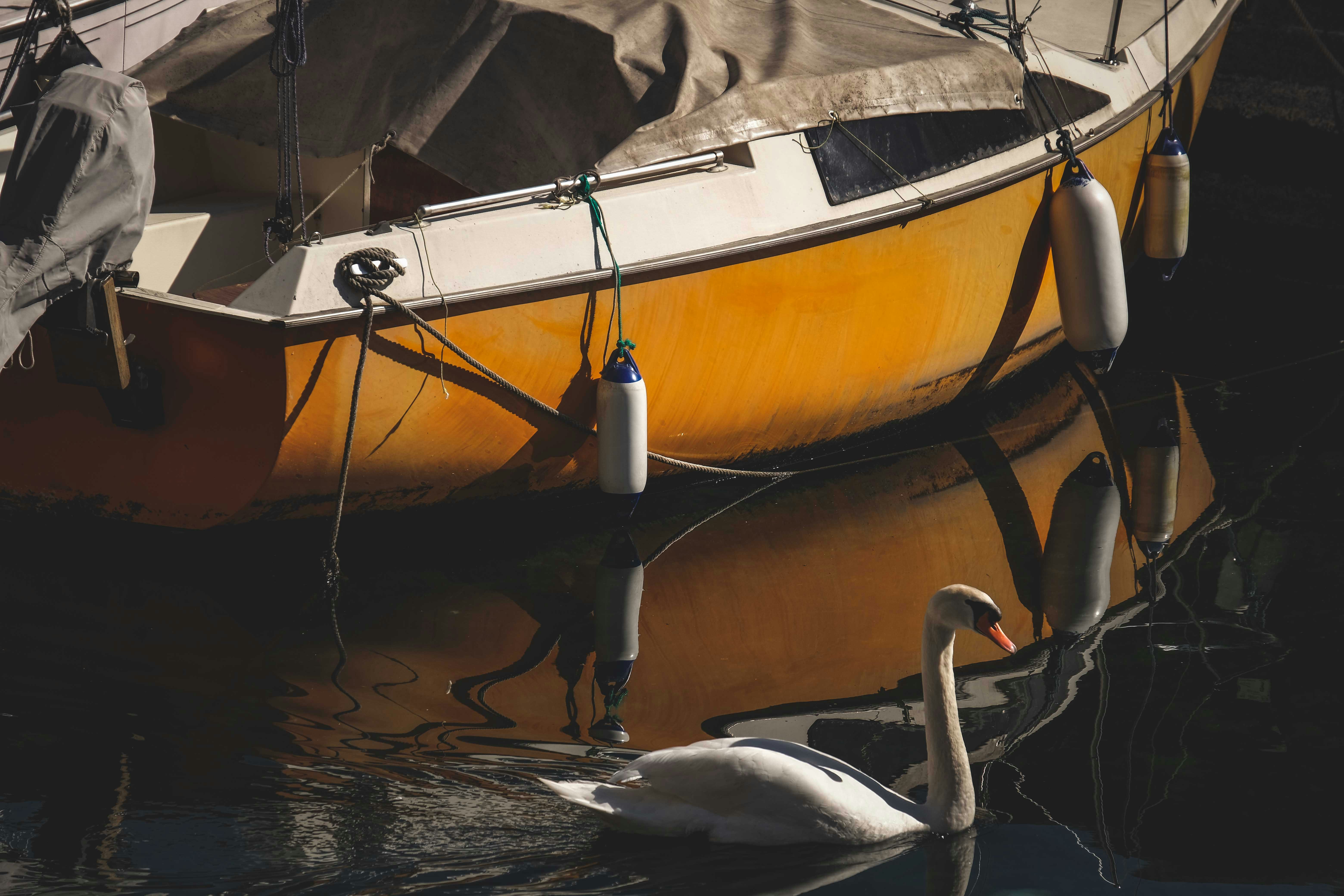 Photo by francesco_ungaro