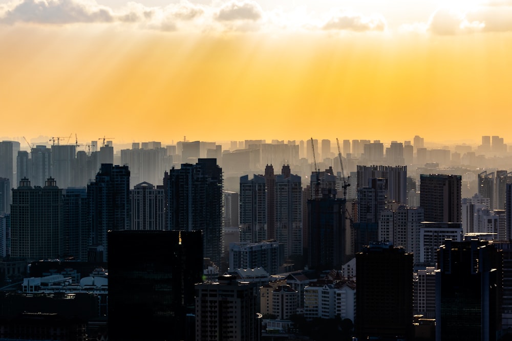 high rise buildings during sunset