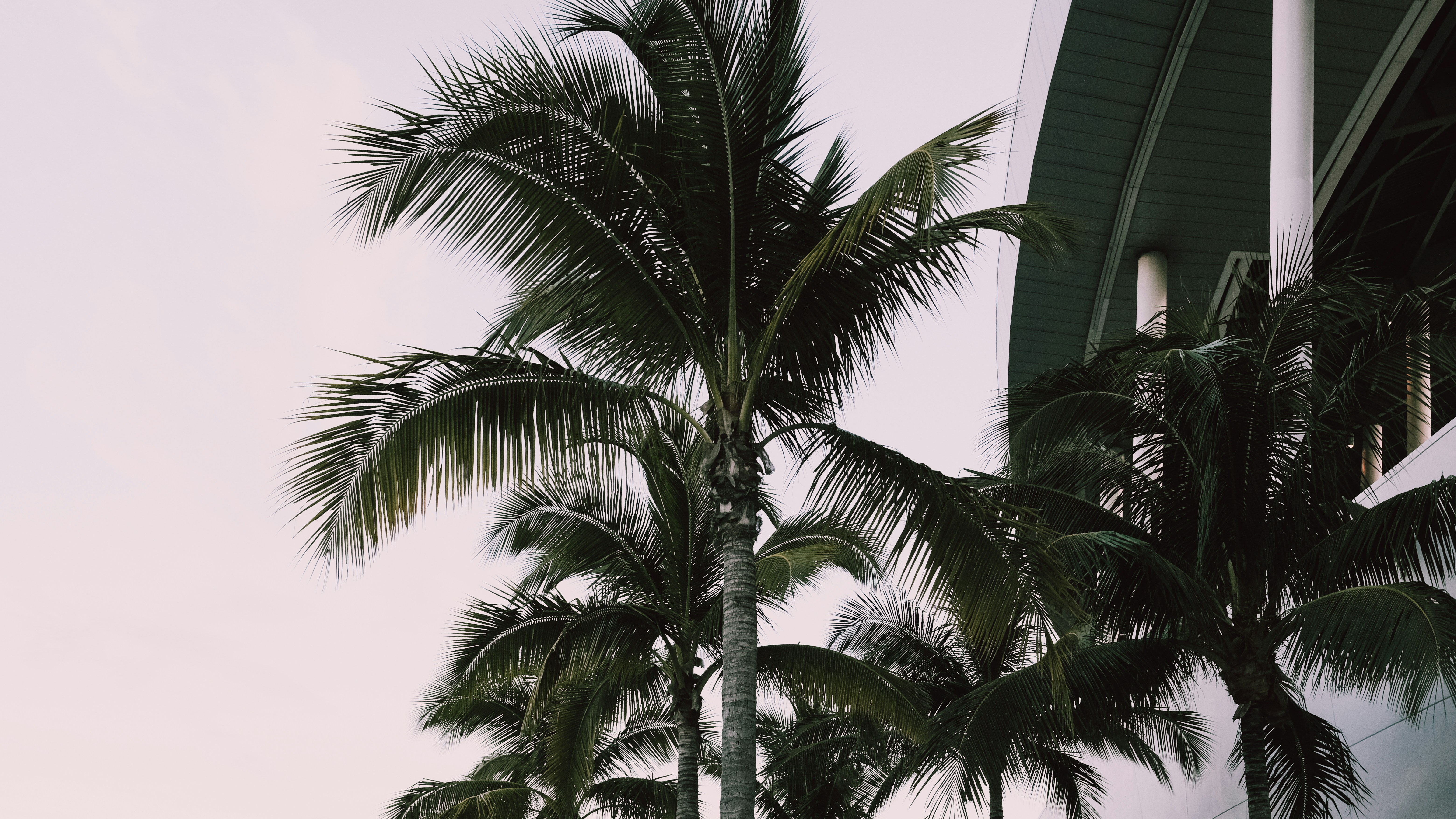 Photo by reganography