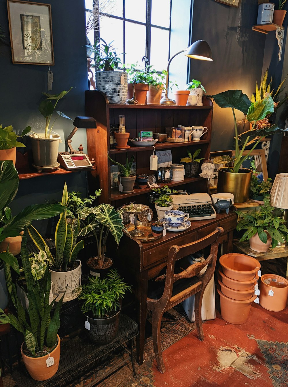 green potted plants on brown wooden table