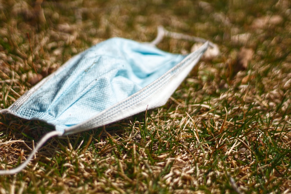 white textile on green grass