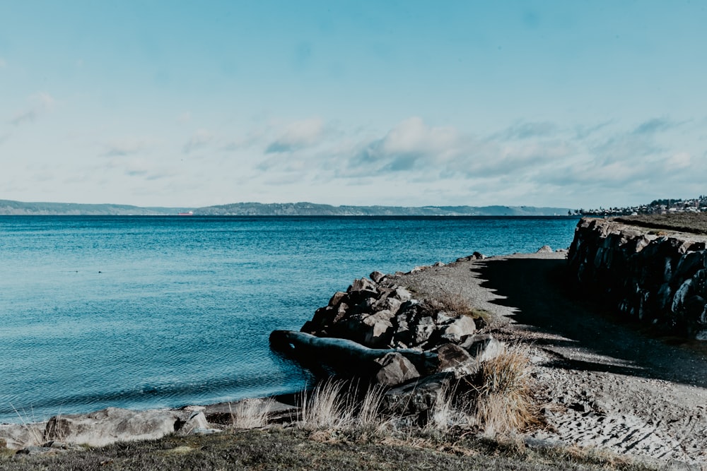 black rock formation on sea shore during daytime