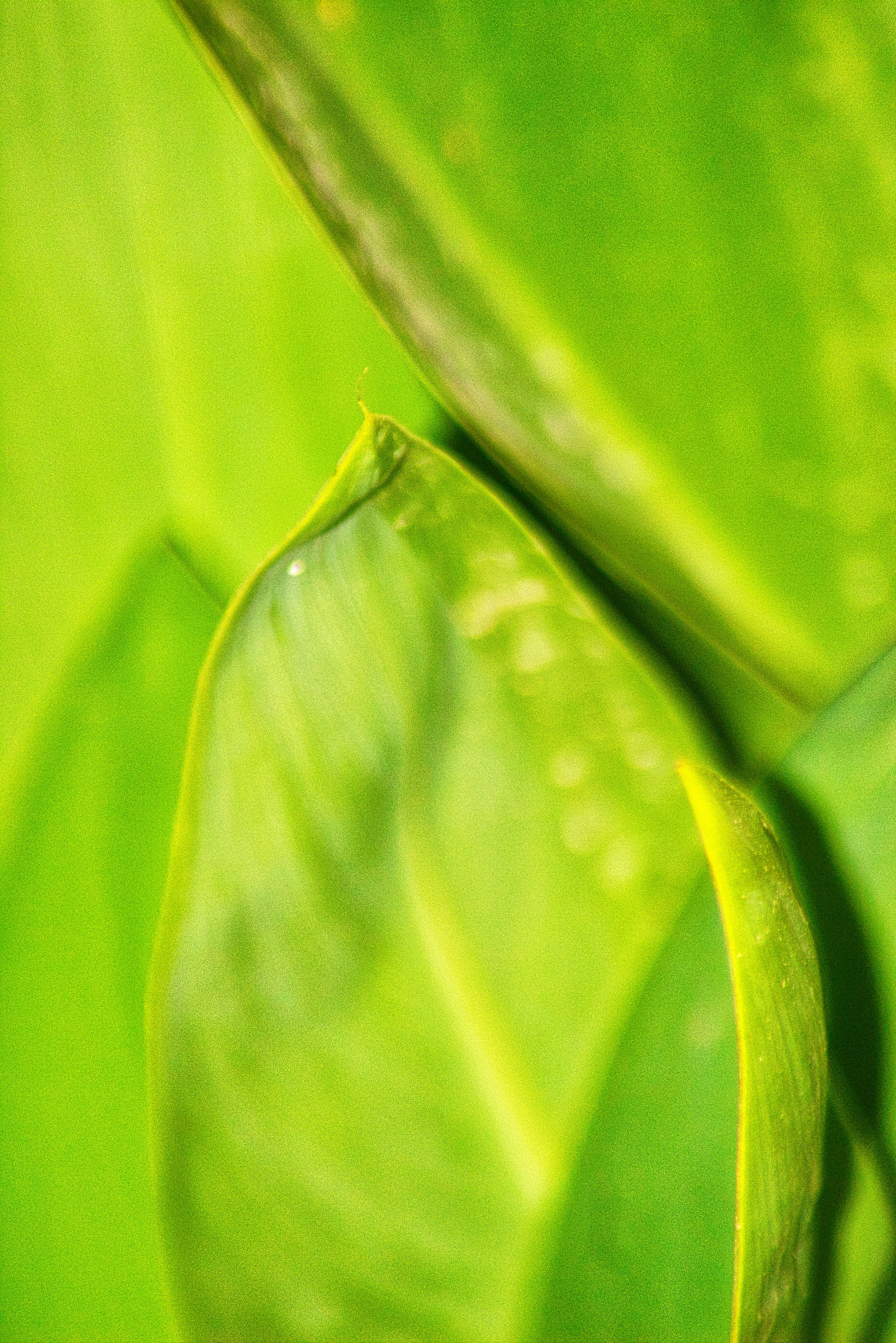 Photo by titouhwayne