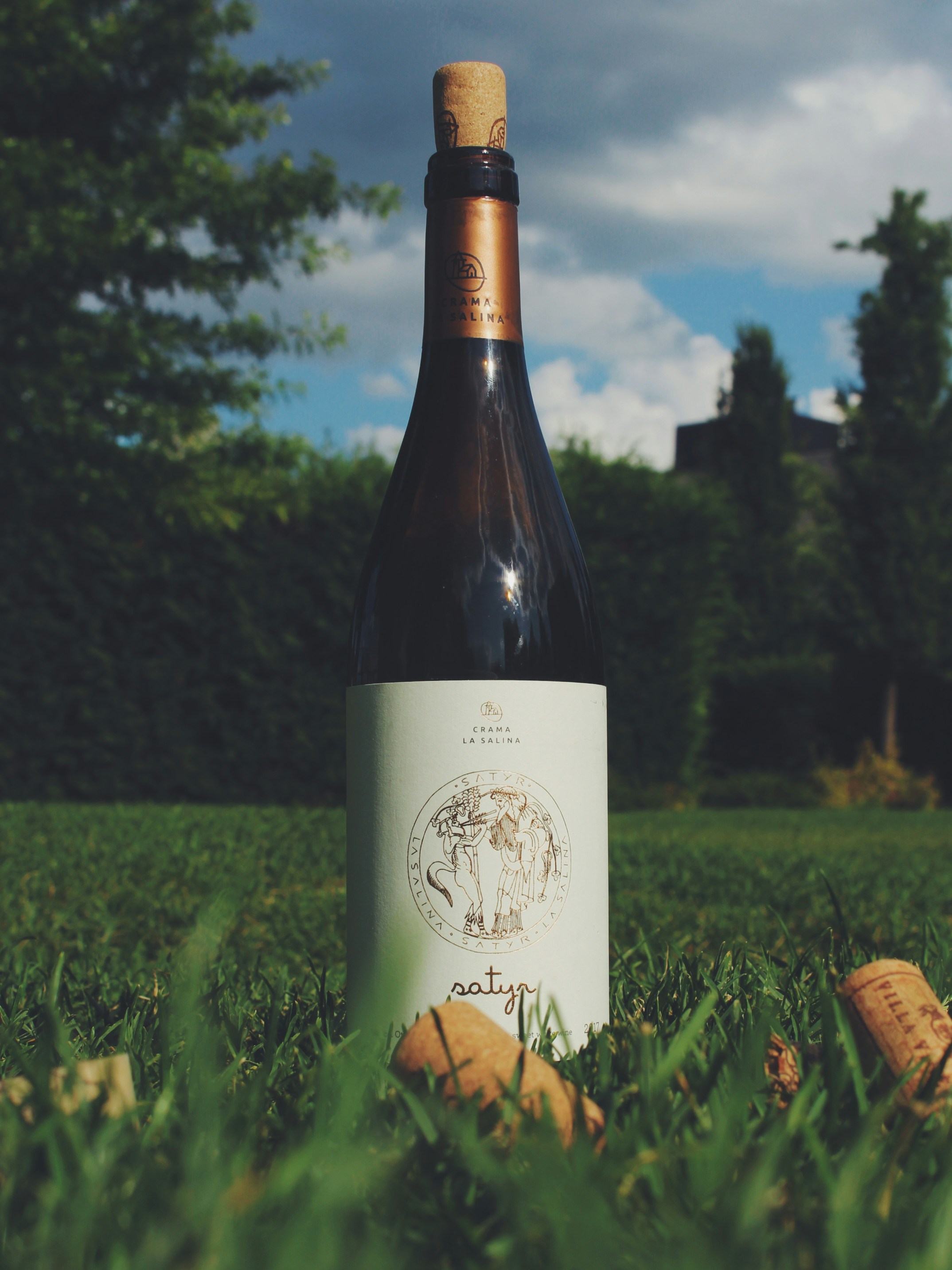 Photo by czapp_arpad