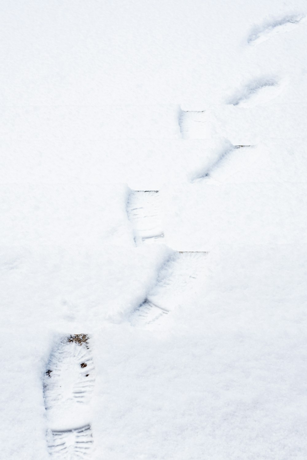 snow covered field during daytime