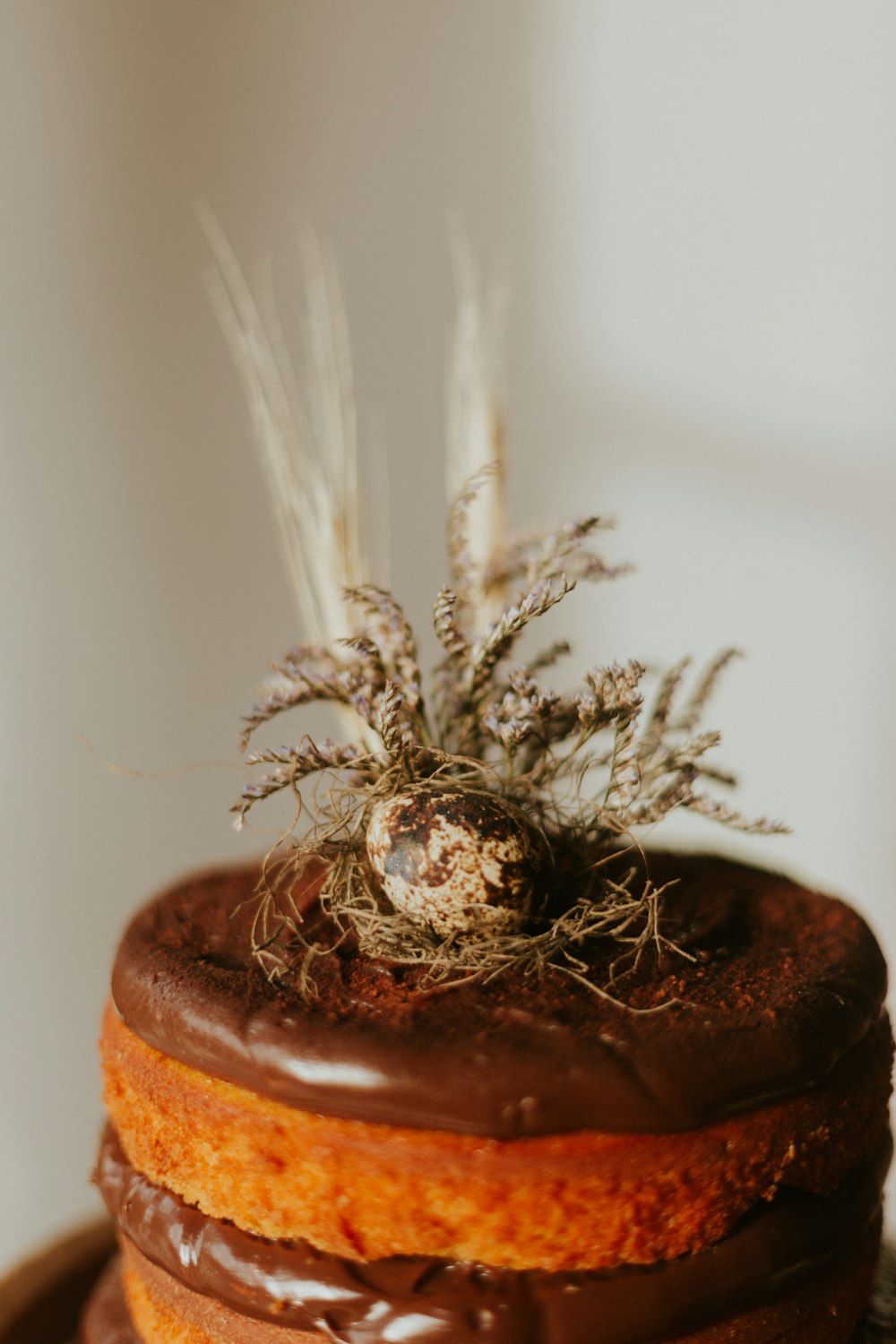 brown plant in brown clay pot