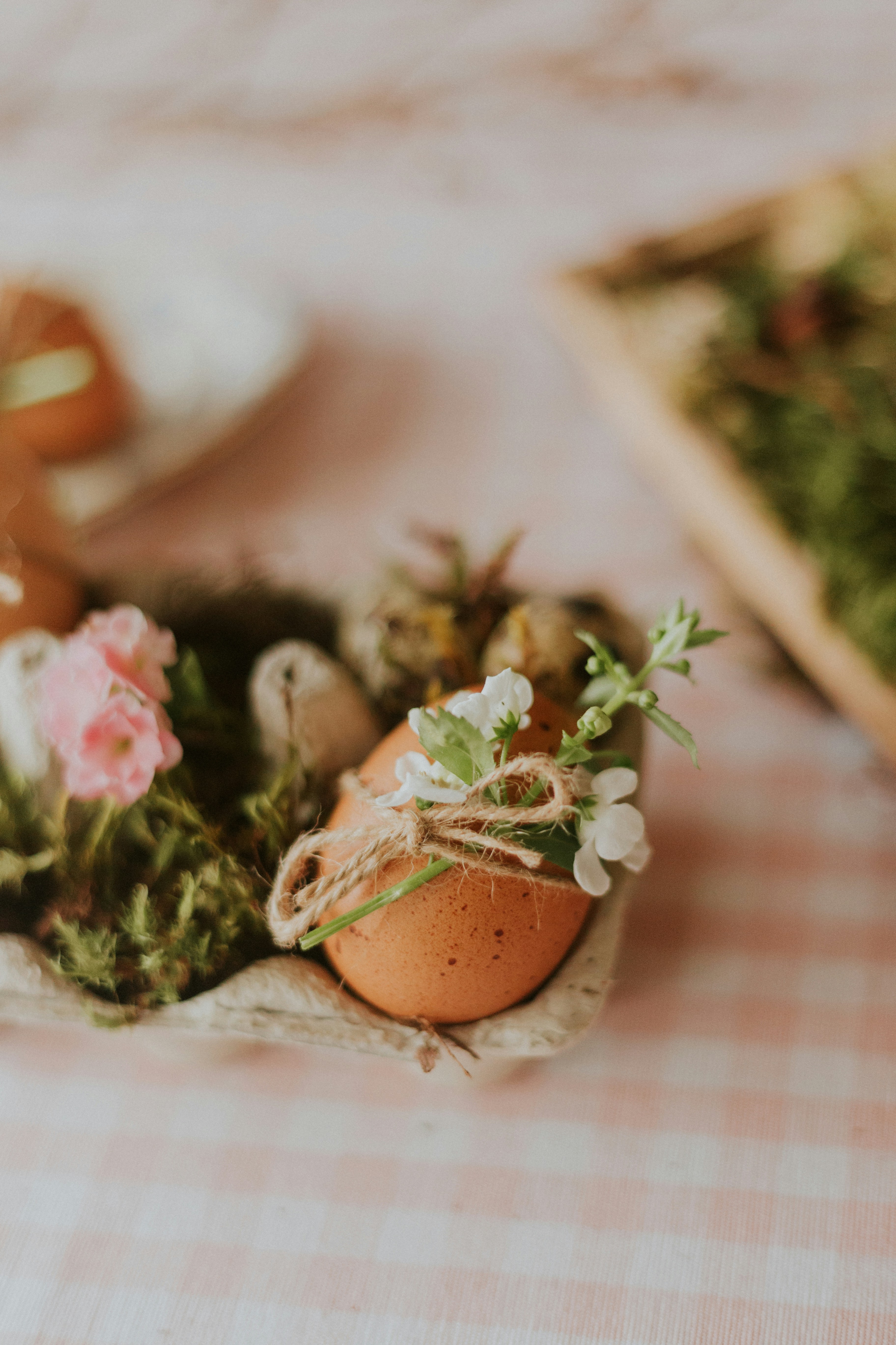 Photo by lucasmendesph