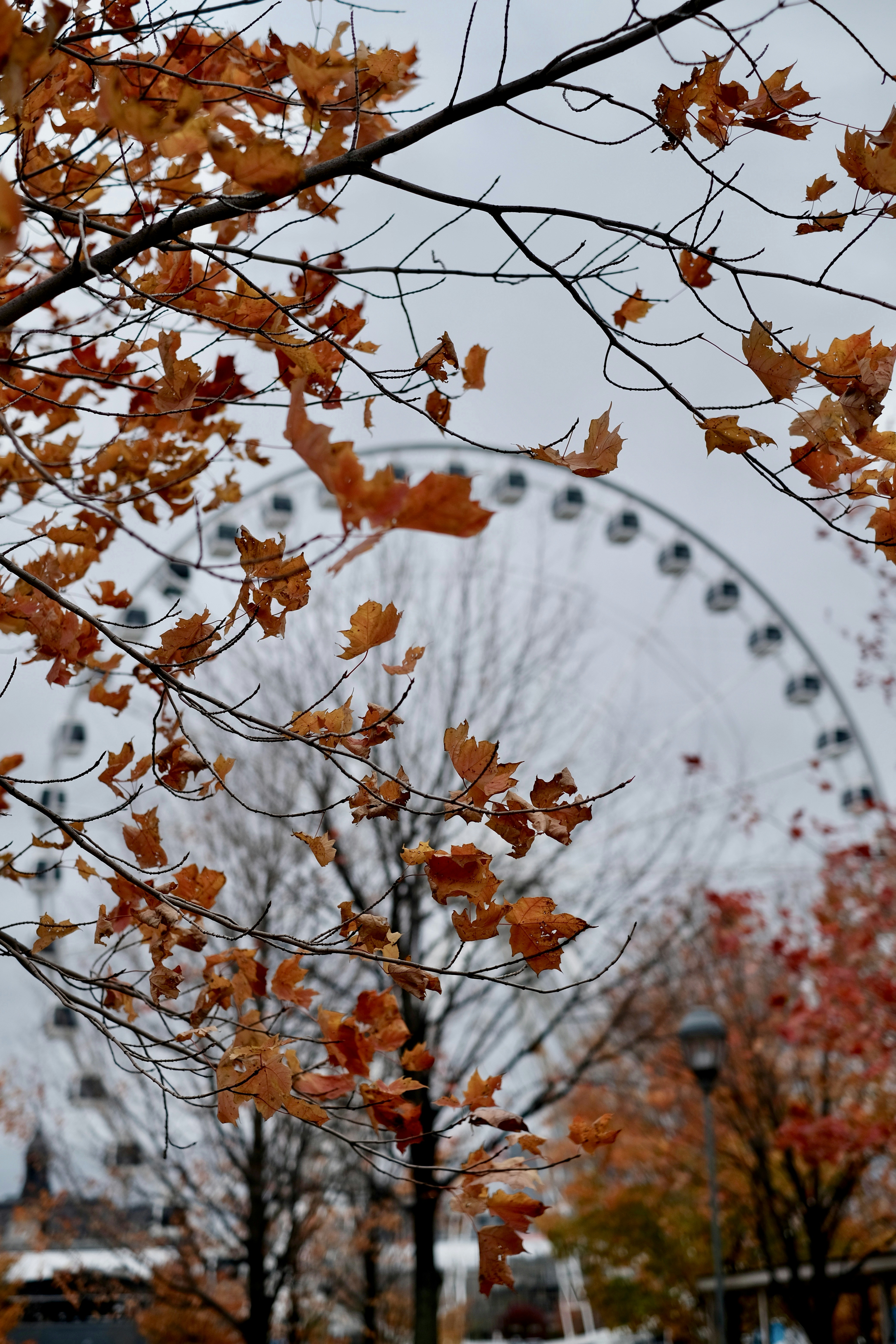 Photo by itsdavidsam