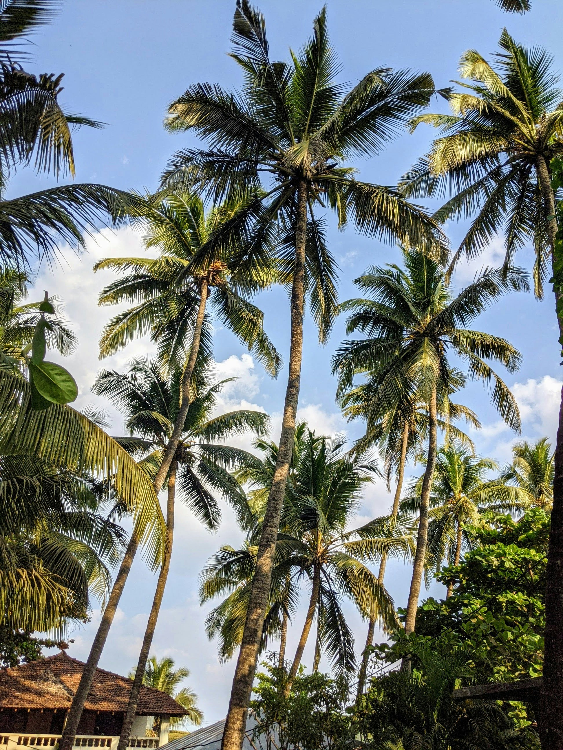 Photo by rajeevschanda