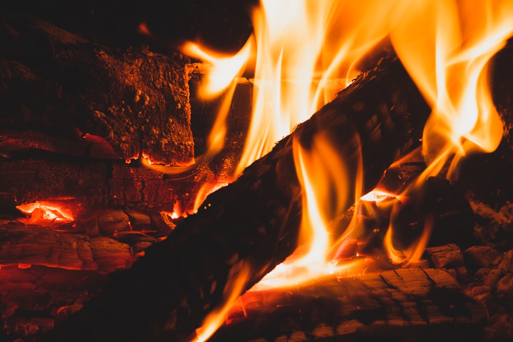 burning wood in fire pit