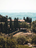 Wide view of Torre Palazzone estate nestled among cypress-lined paths.