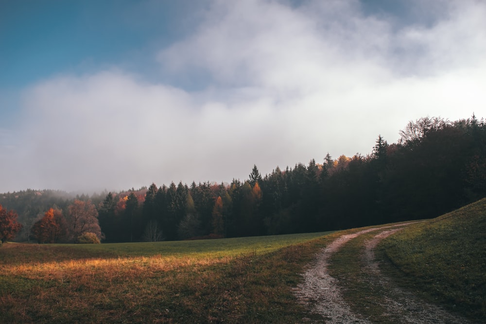 green grass field under white clouds