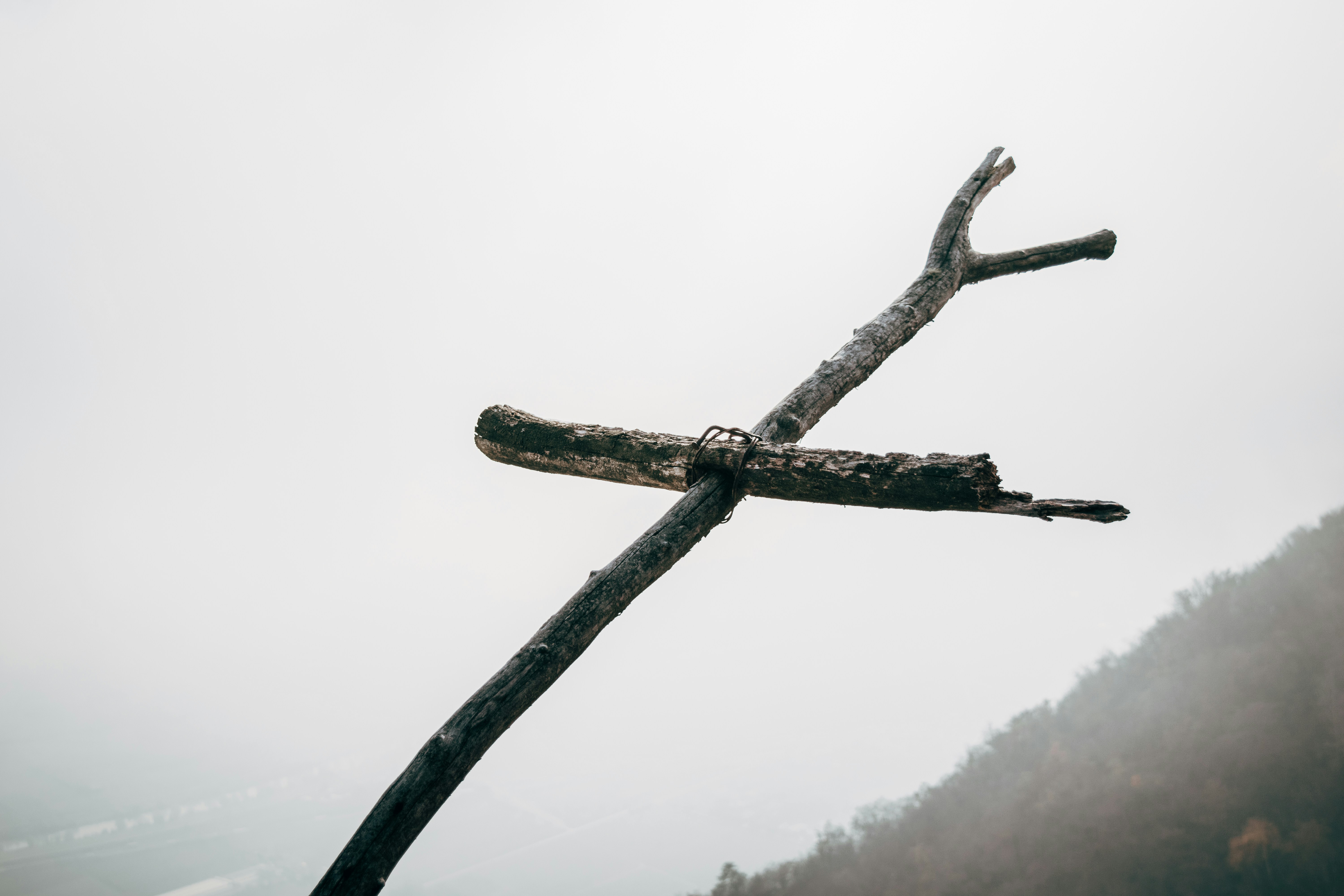 brown wooden stick with white fog