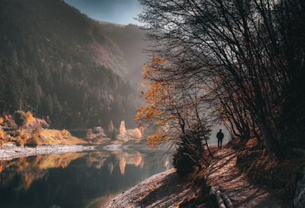 A serene woman walking thoughtfully along a forest path in autumn.