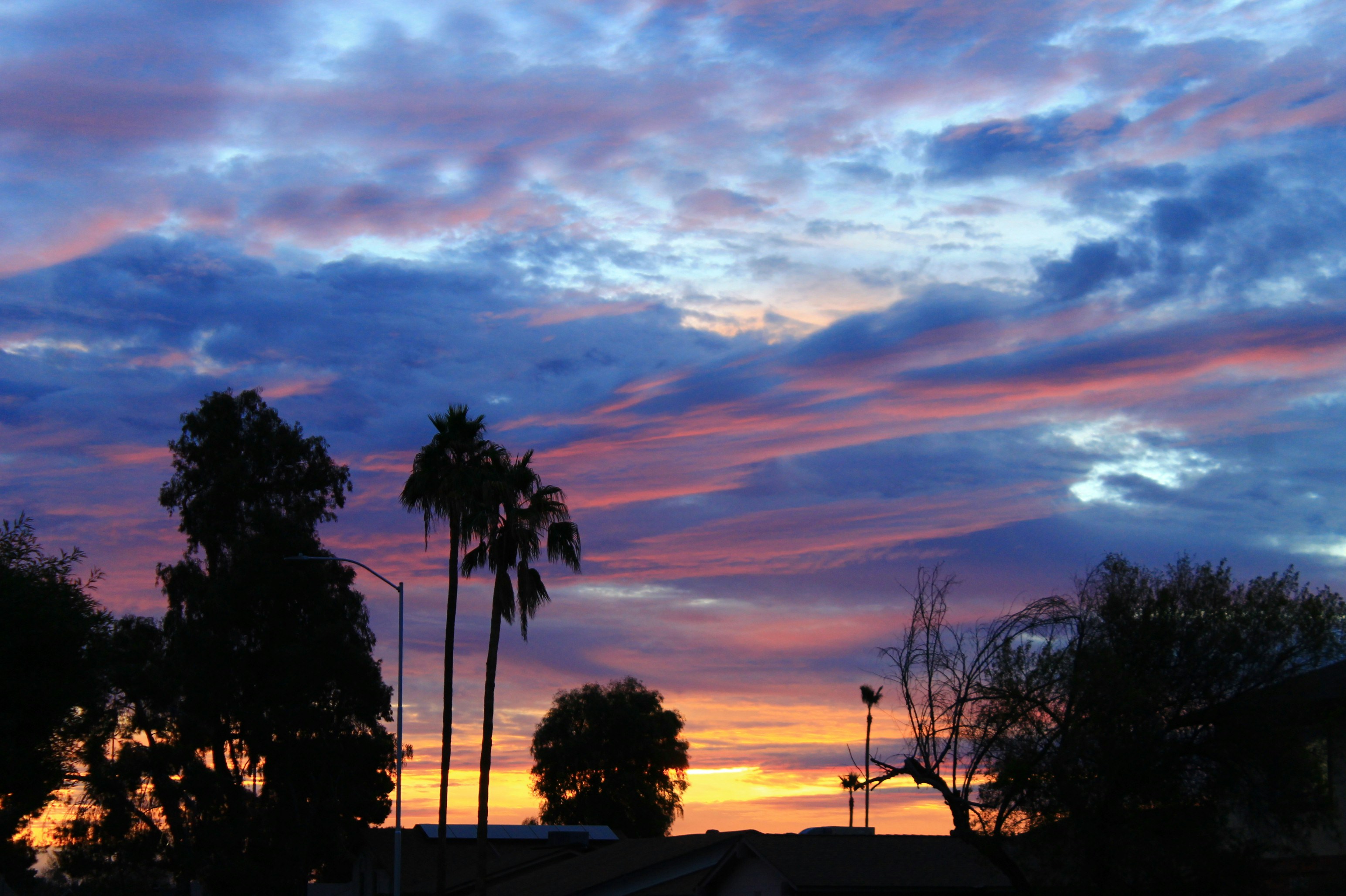 Silhouette der Bäume bei Sonnenuntergang