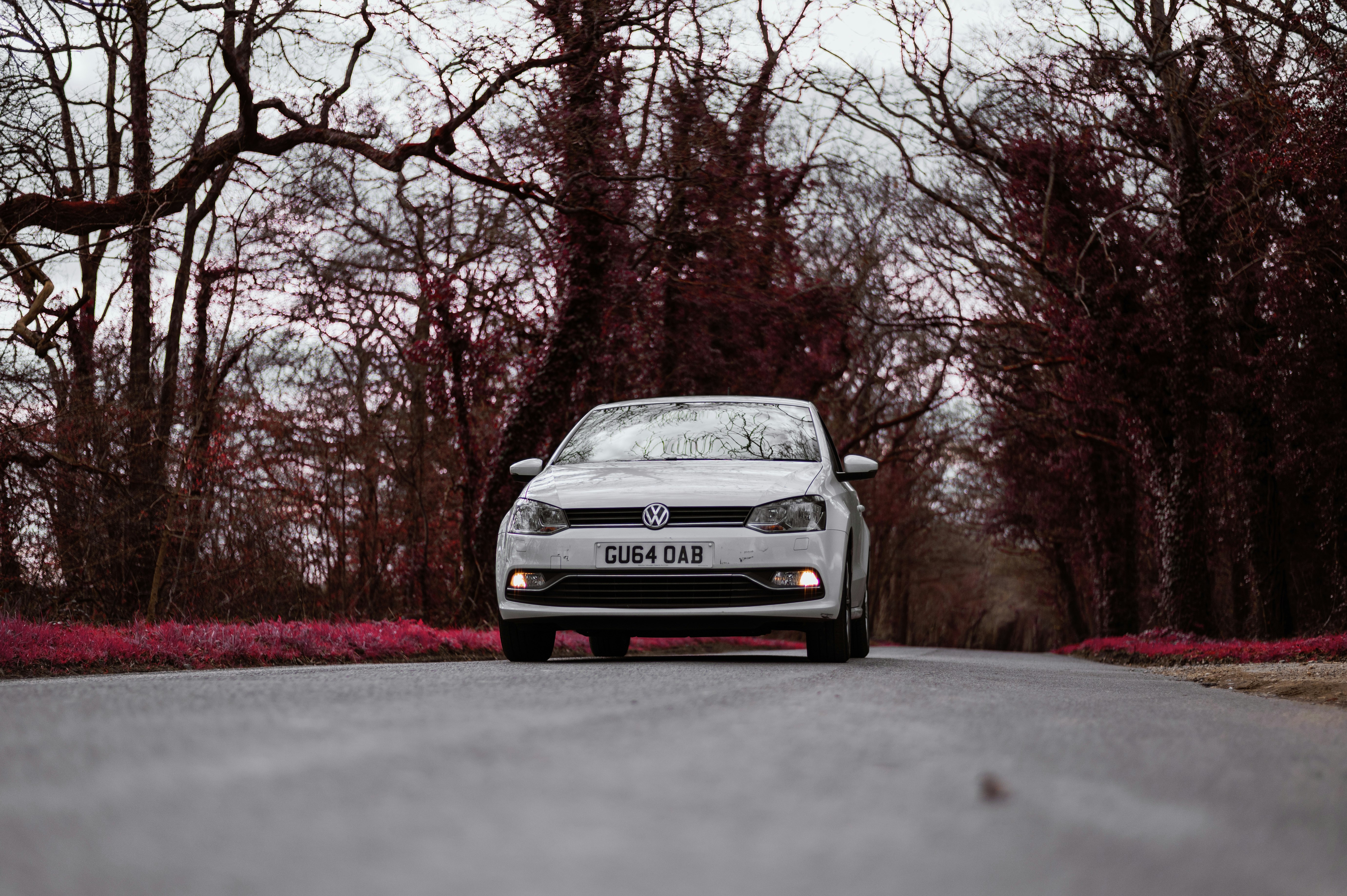 gray bmw car on road