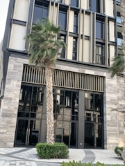 A modern building exterior with a sleek design featuring large glass windows and vertical architectural elements. A tall palm tree stands in front, surrounded by neatly trimmed bushes and a paved outdoor area.