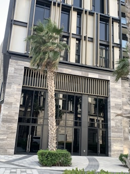 A modern building exterior with a sleek design featuring large glass windows and vertical architectural elements. A tall palm tree stands in front, surrounded by neatly trimmed bushes and a paved outdoor area.