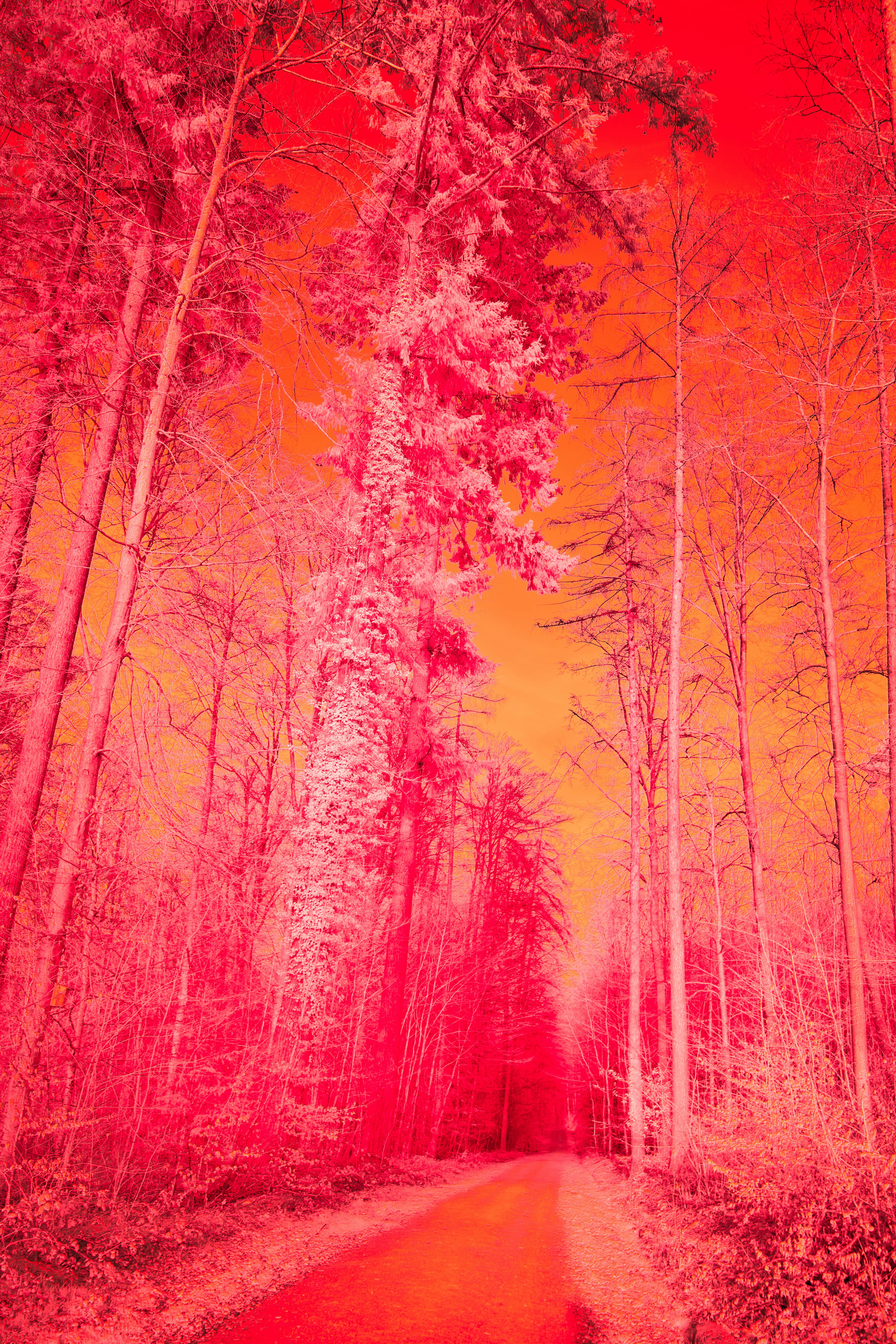 Photo by wolfgang_hasselmann