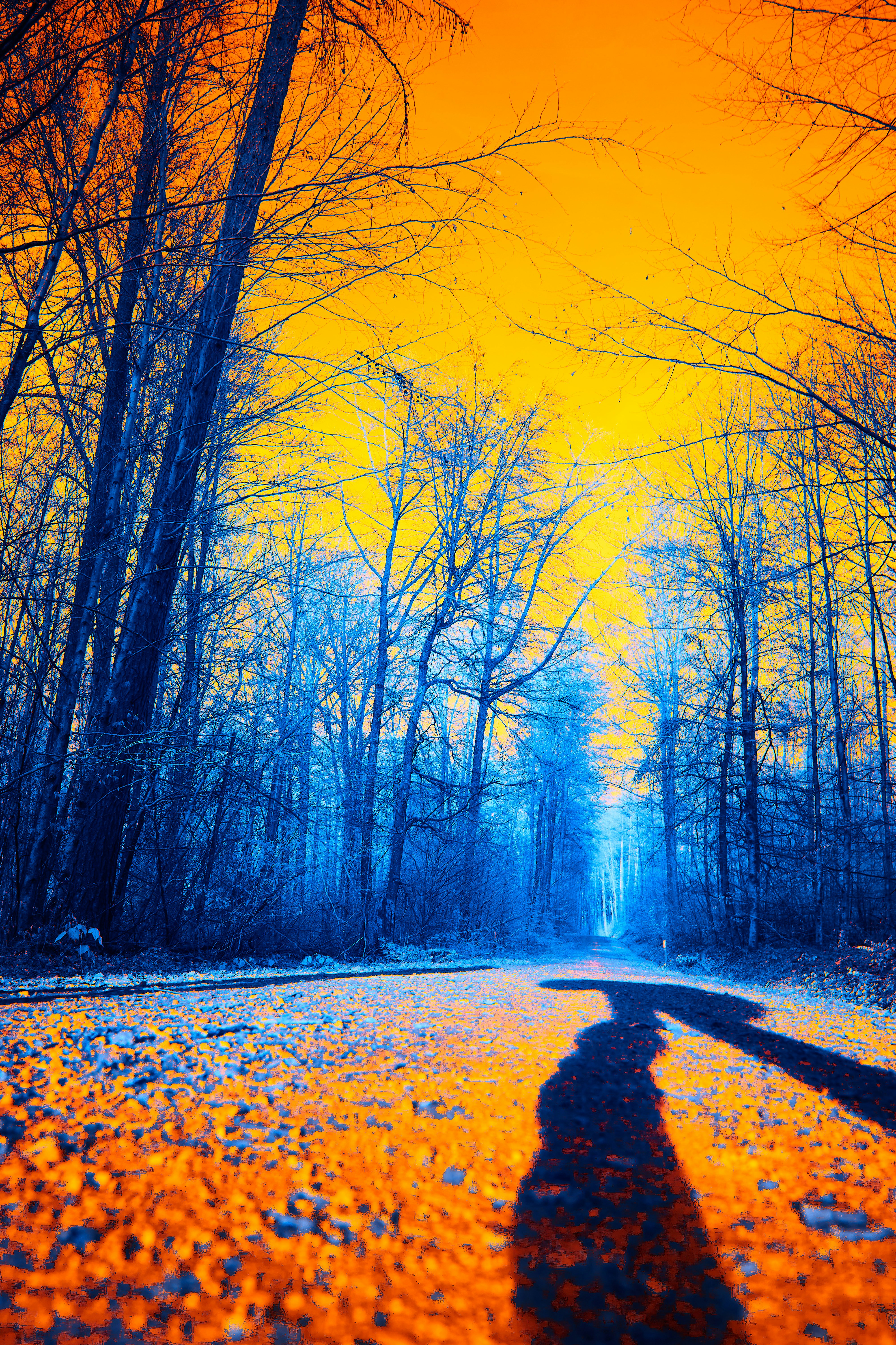 Photo by wolfgang_hasselmann