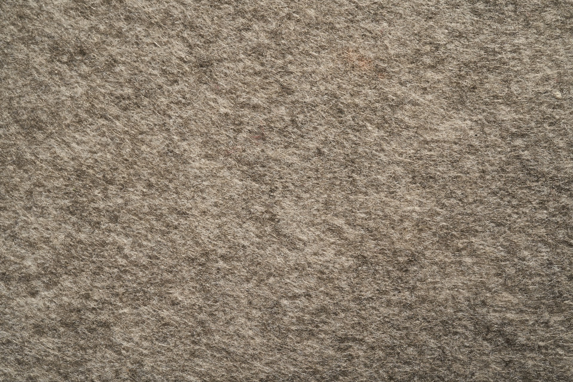 person in black shoes standing on brown carpet
