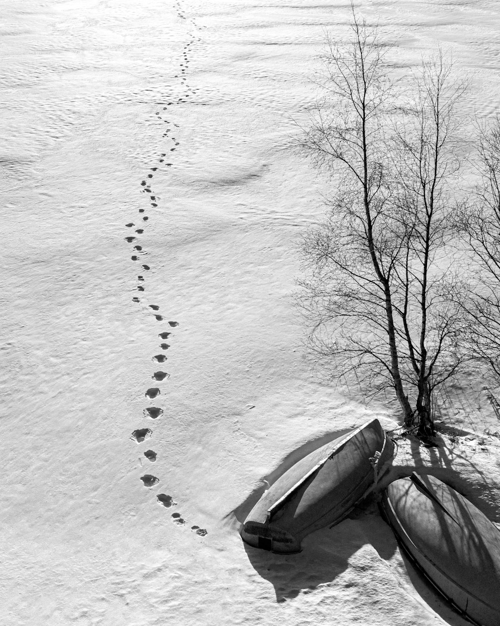 grayscale photo of car on snow covered ground