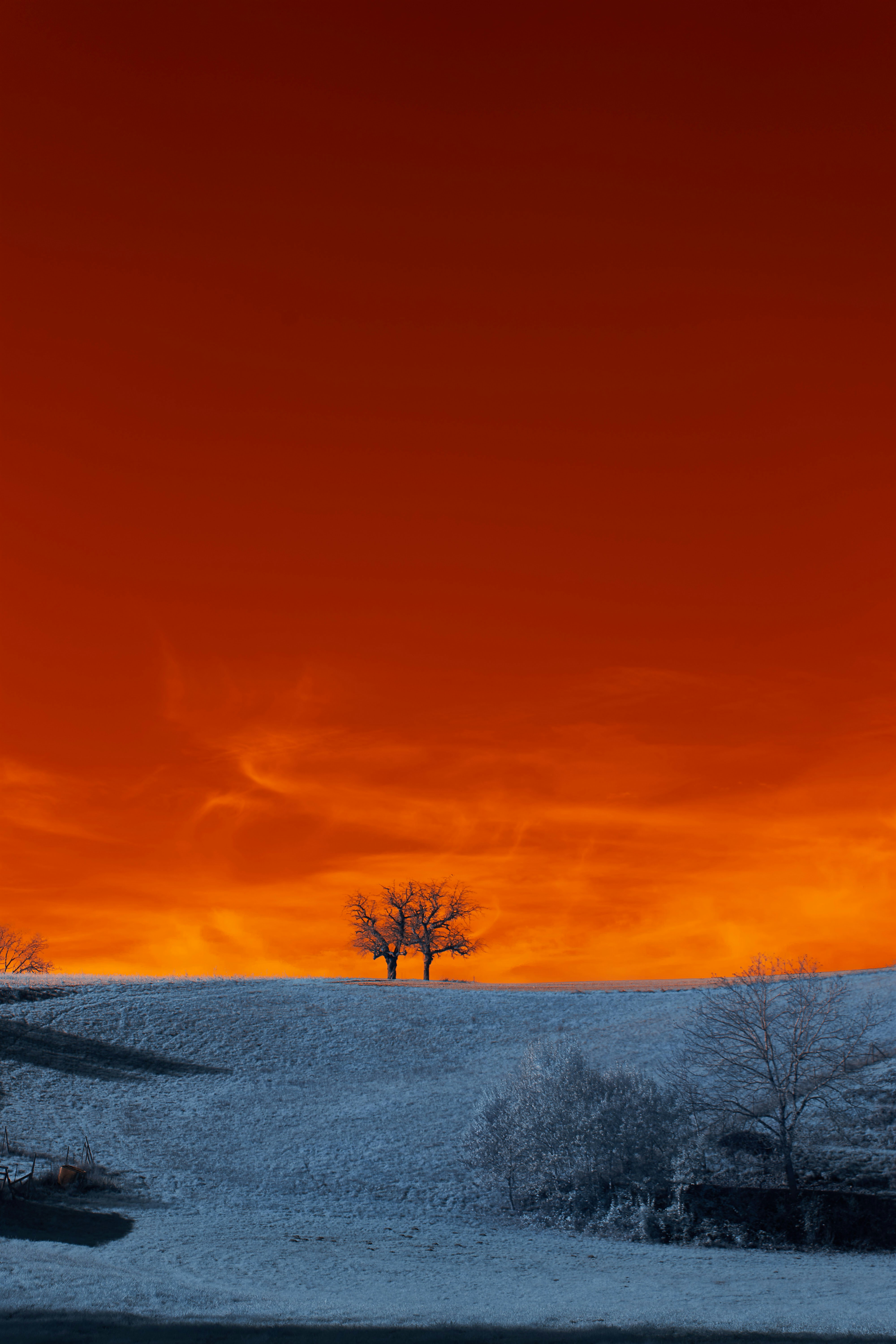 Photo by wolfgang_hasselmann