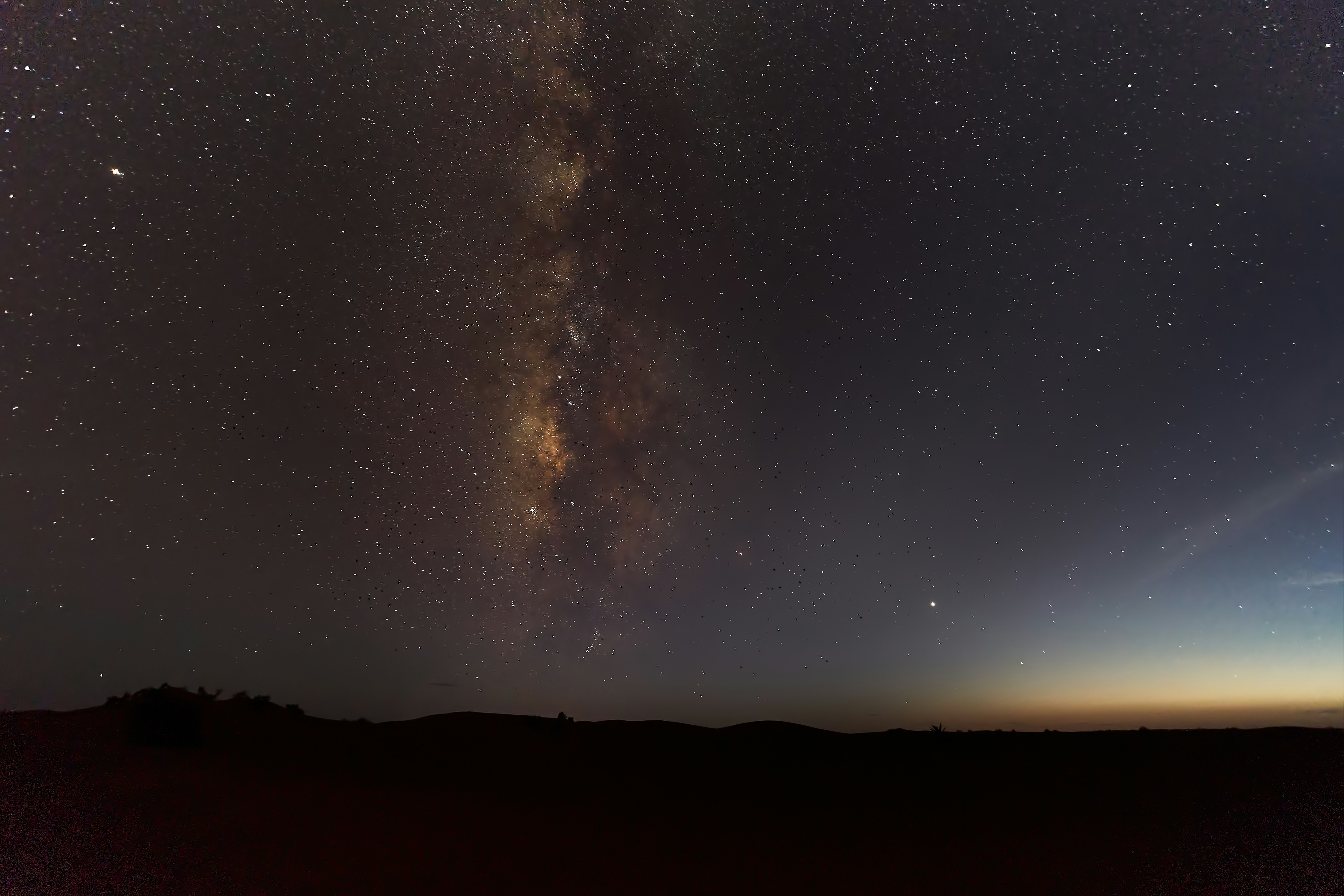 Photo by wolfgang_hasselmann