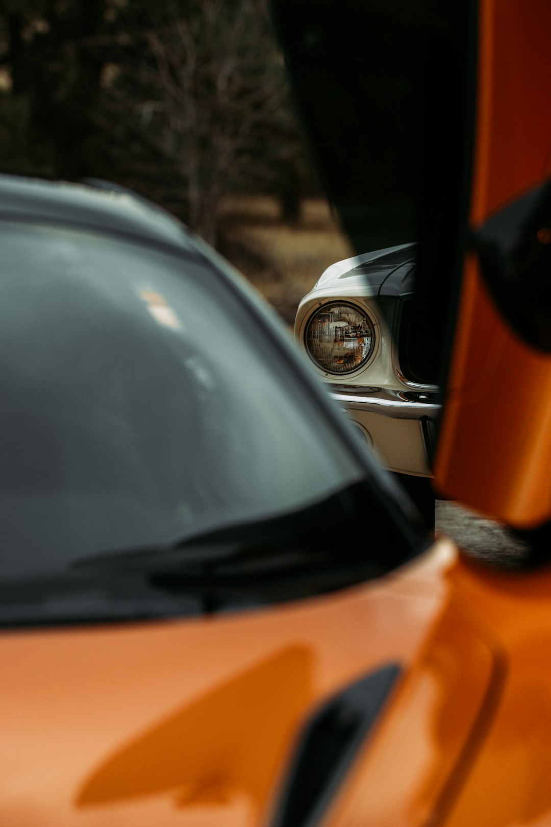 orange and black car in front of green trees during daytime