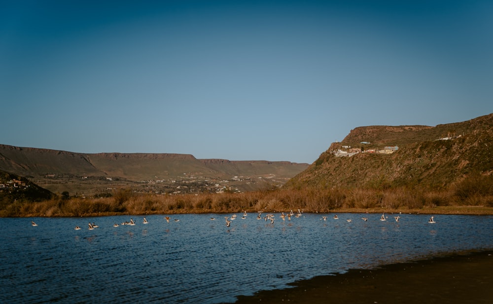 brown mountain beside body of water during daytime