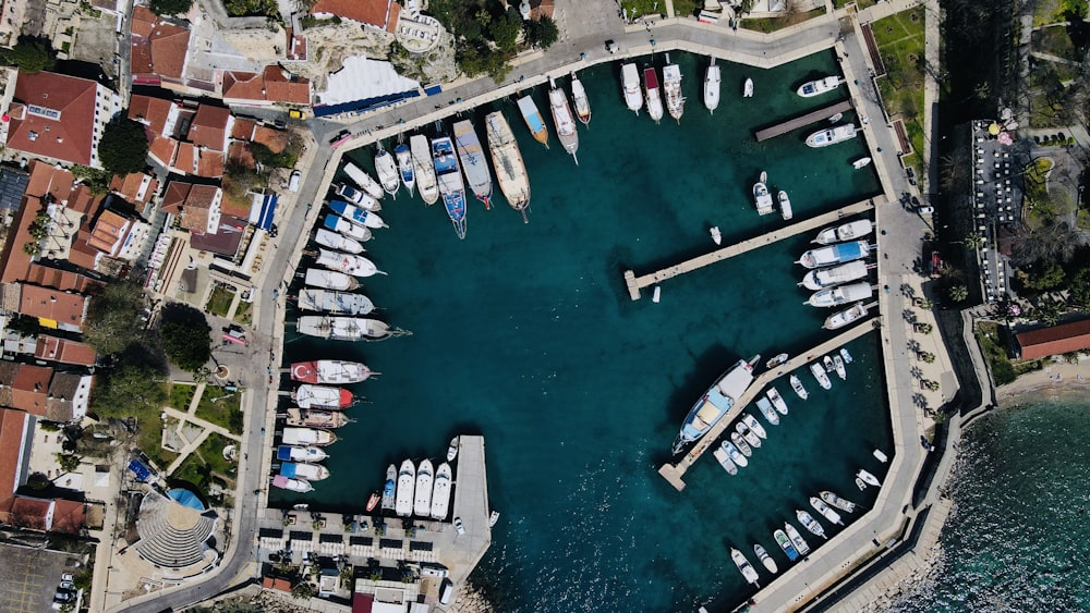 aerial view of body of water near city buildings during daytime