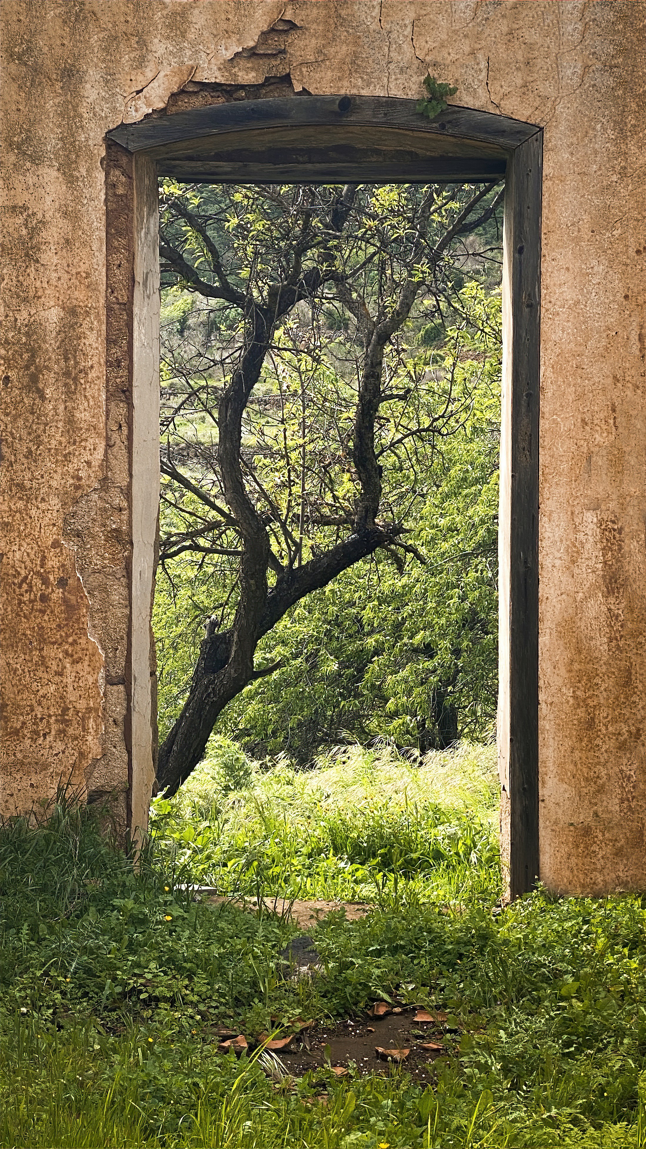 Photo by christianbuehner