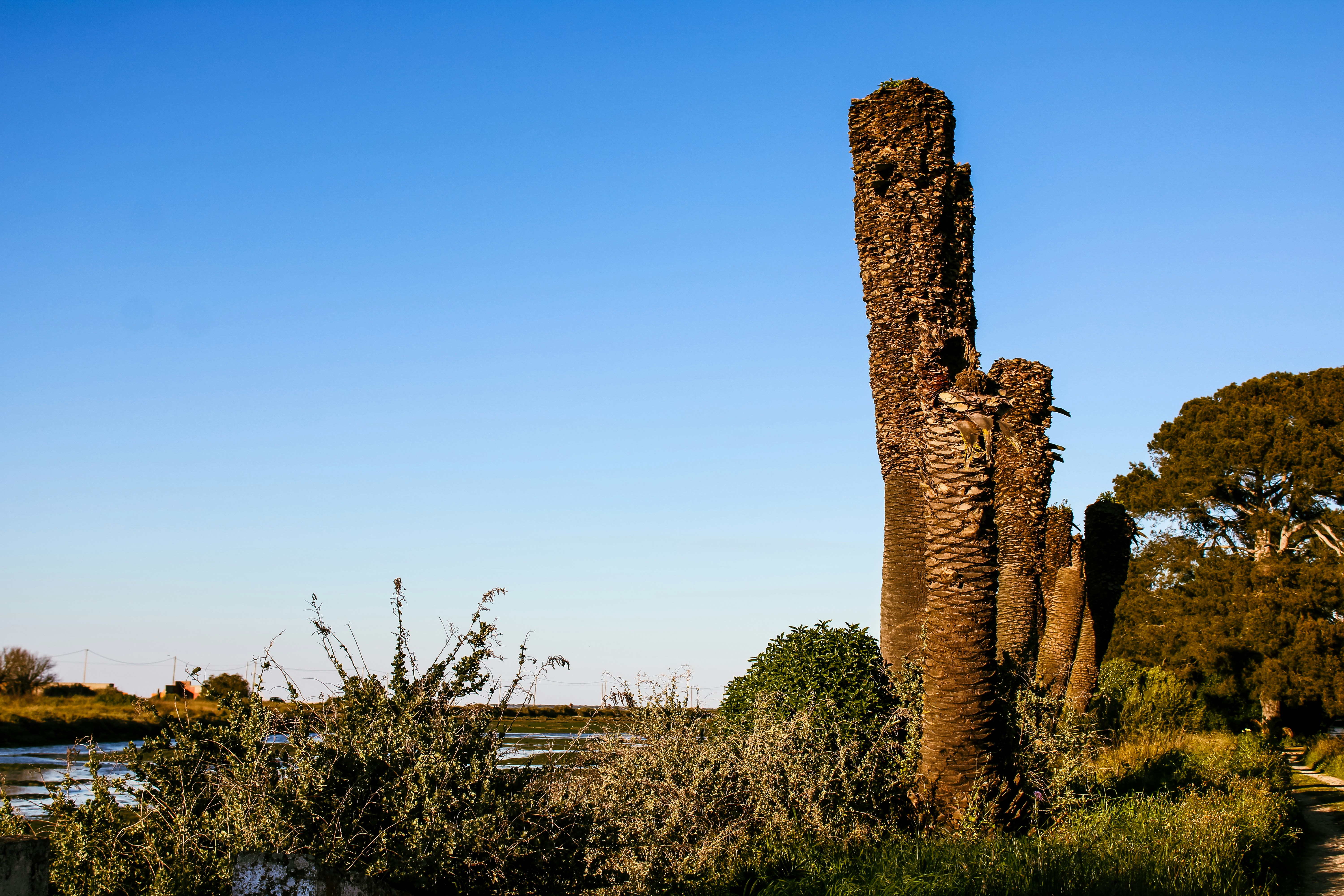 brown rock formation near green grass field during daytime