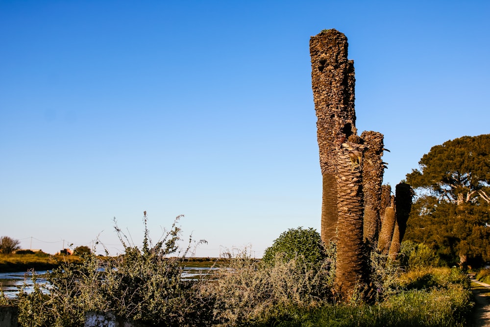 brown rock formation near green grass field during daytime